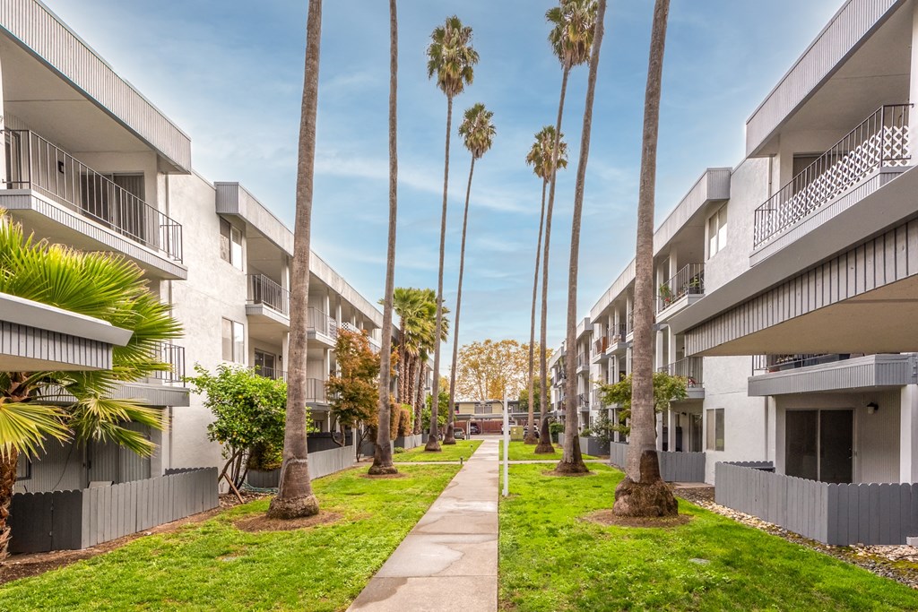 a pathway lined with palm trees in the middle of an apartment complex