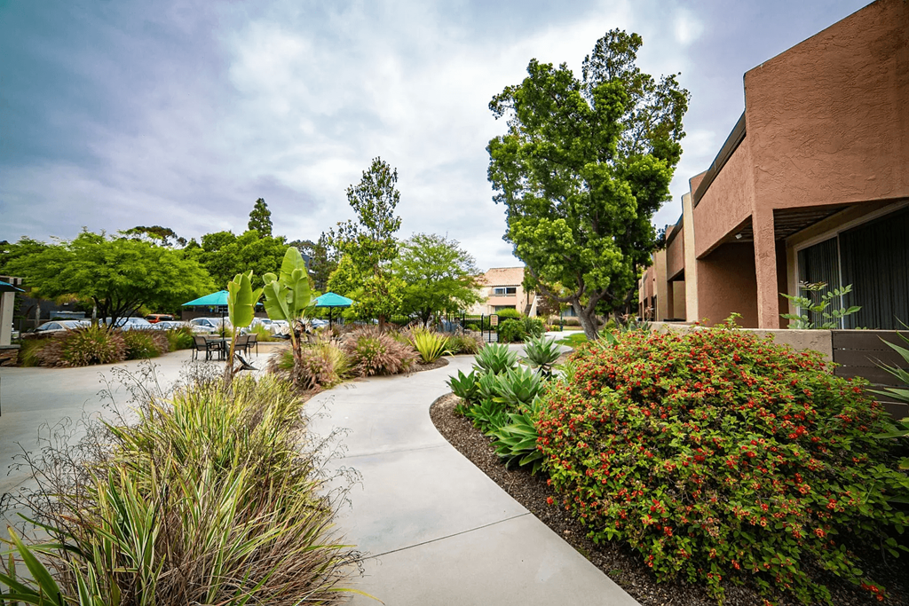 a courtyard with plants and a building with umbrellas