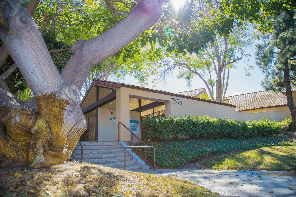 a building with stairs and a tree in front of it