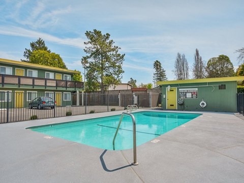 the pool