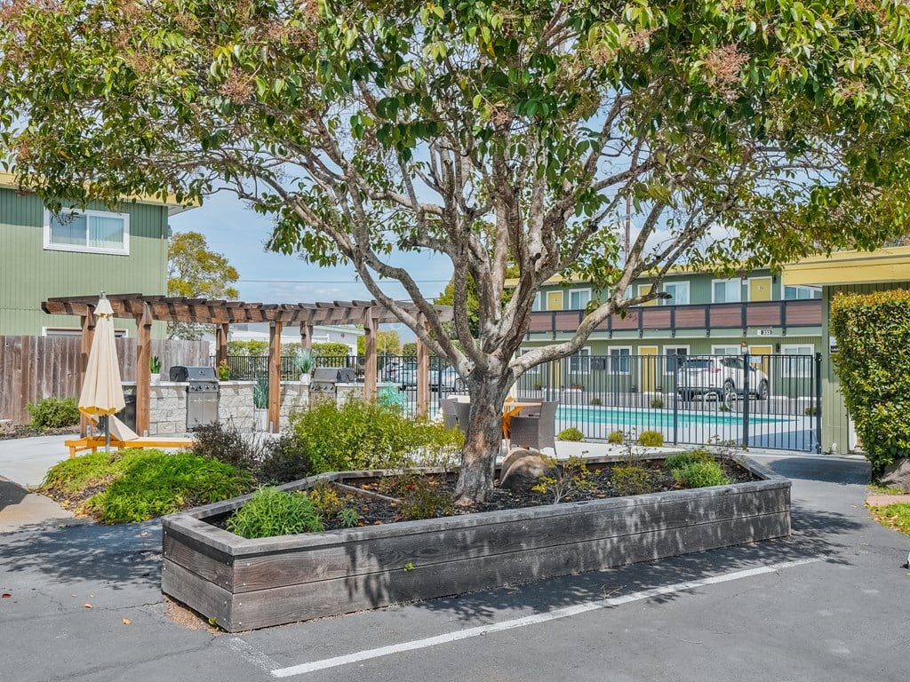 a tree in the middle of a parking lot in front of a building