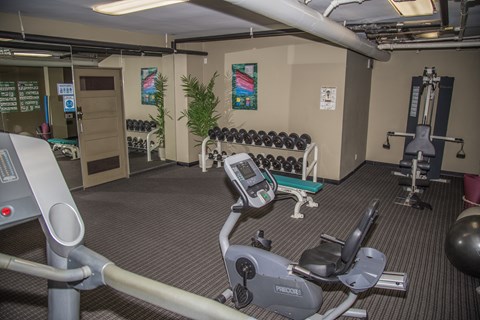 A gym with a variety of equipment including a treadmill, weights, and a bench press.
