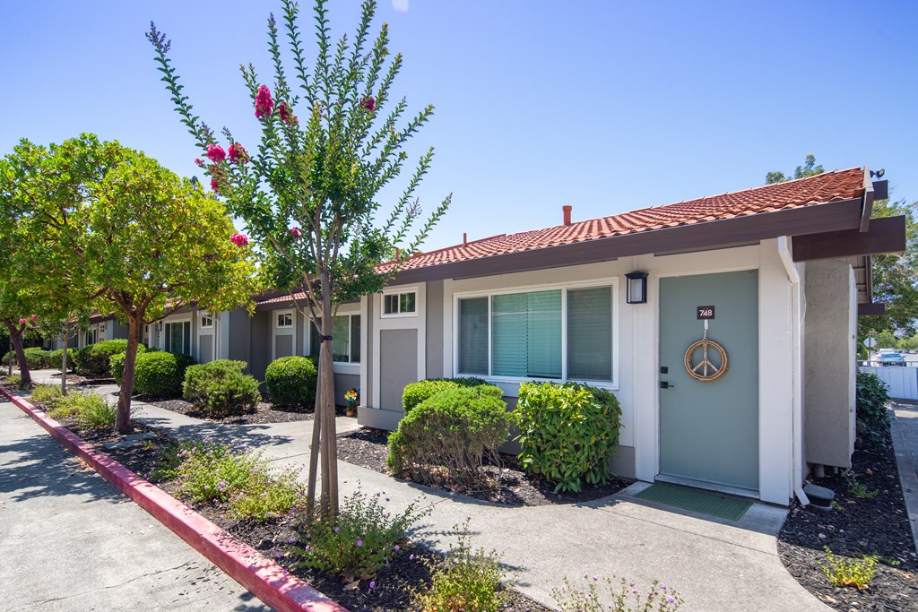 a small house with a sidewalk and trees in front of it