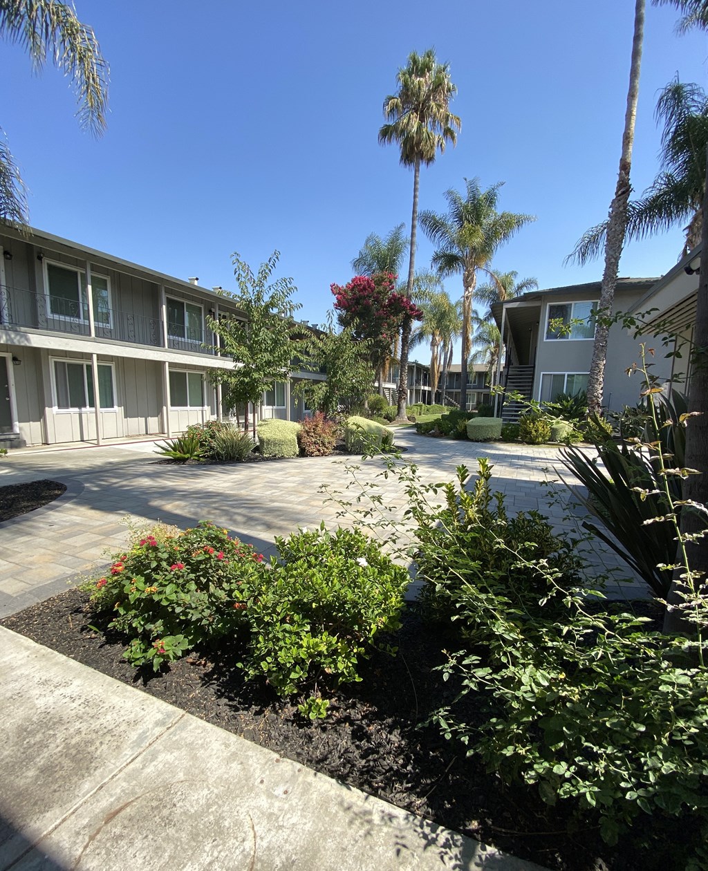 the courtyard in front of our apartment building