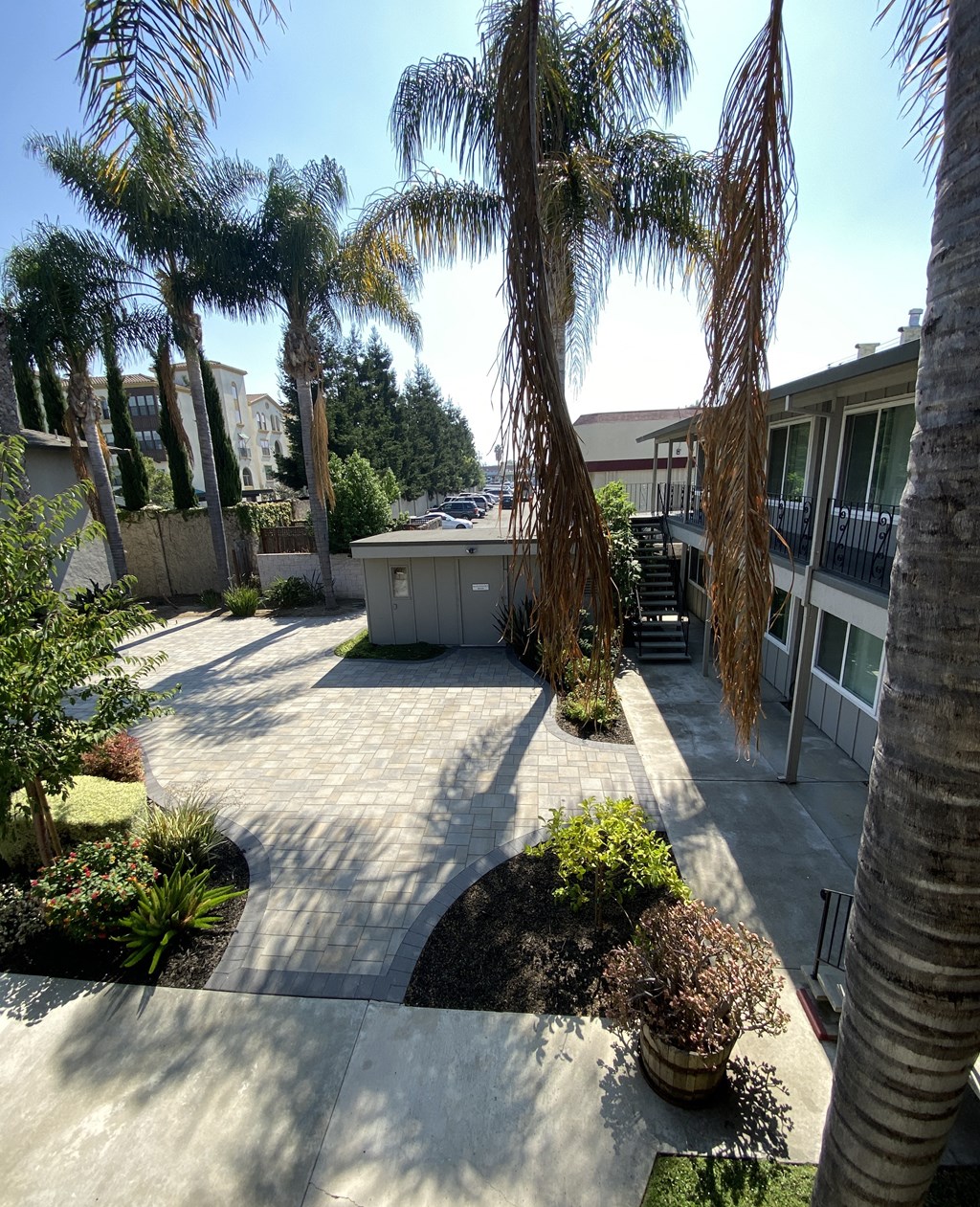 a courtyard with palm trees and a hot tub