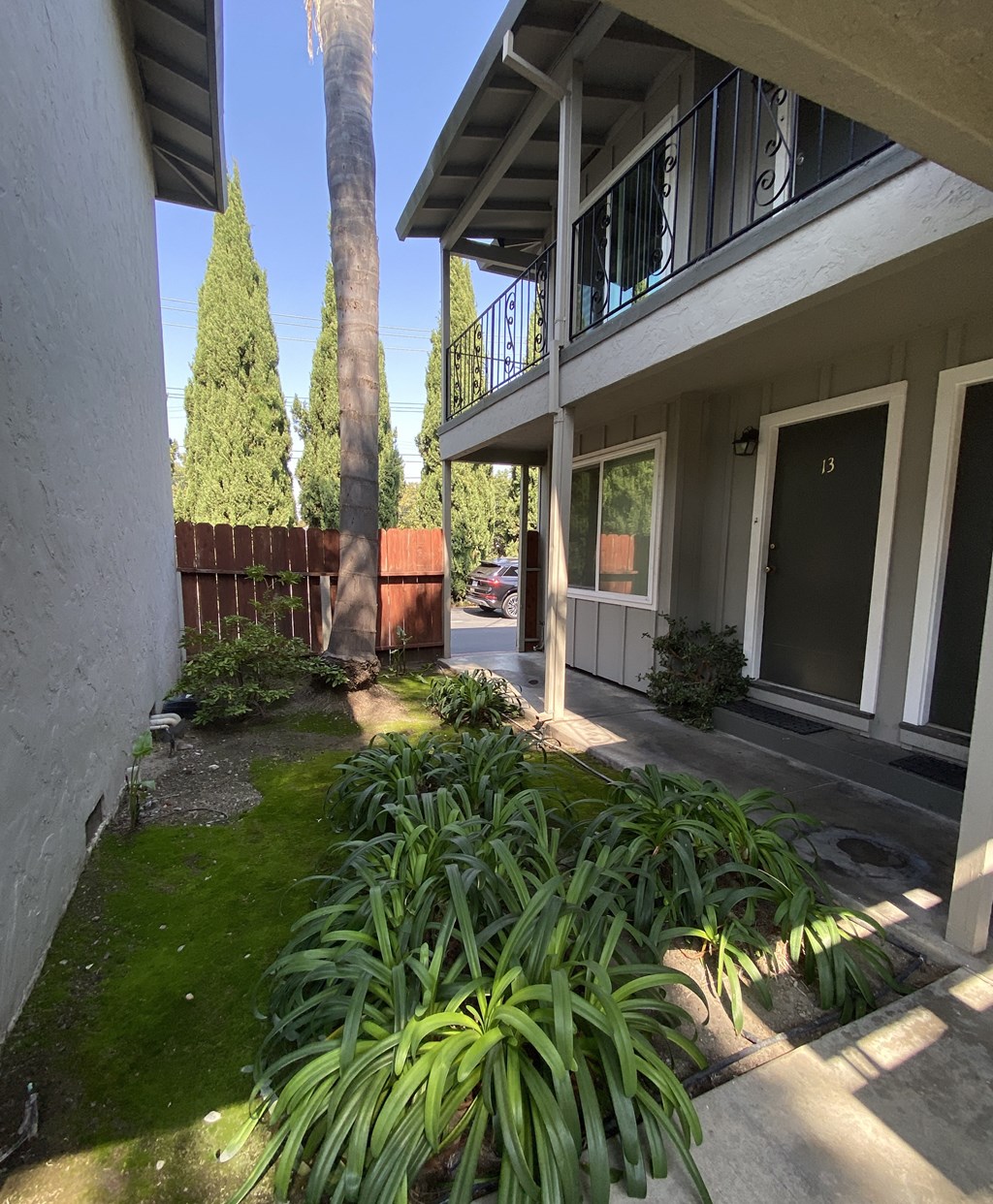 the front yard of a house with a garden and palm trees