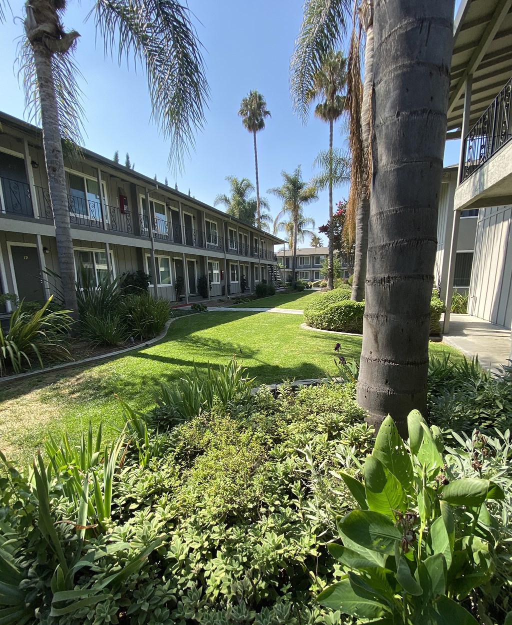 a courtyard with palm trees and plants in front of a building