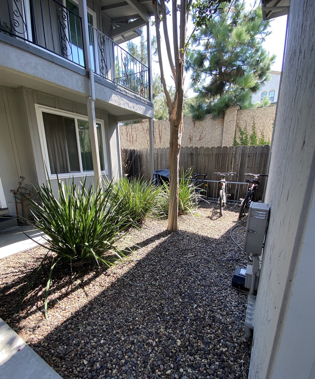 the side yard of a house with a tree and a bike parked next to it