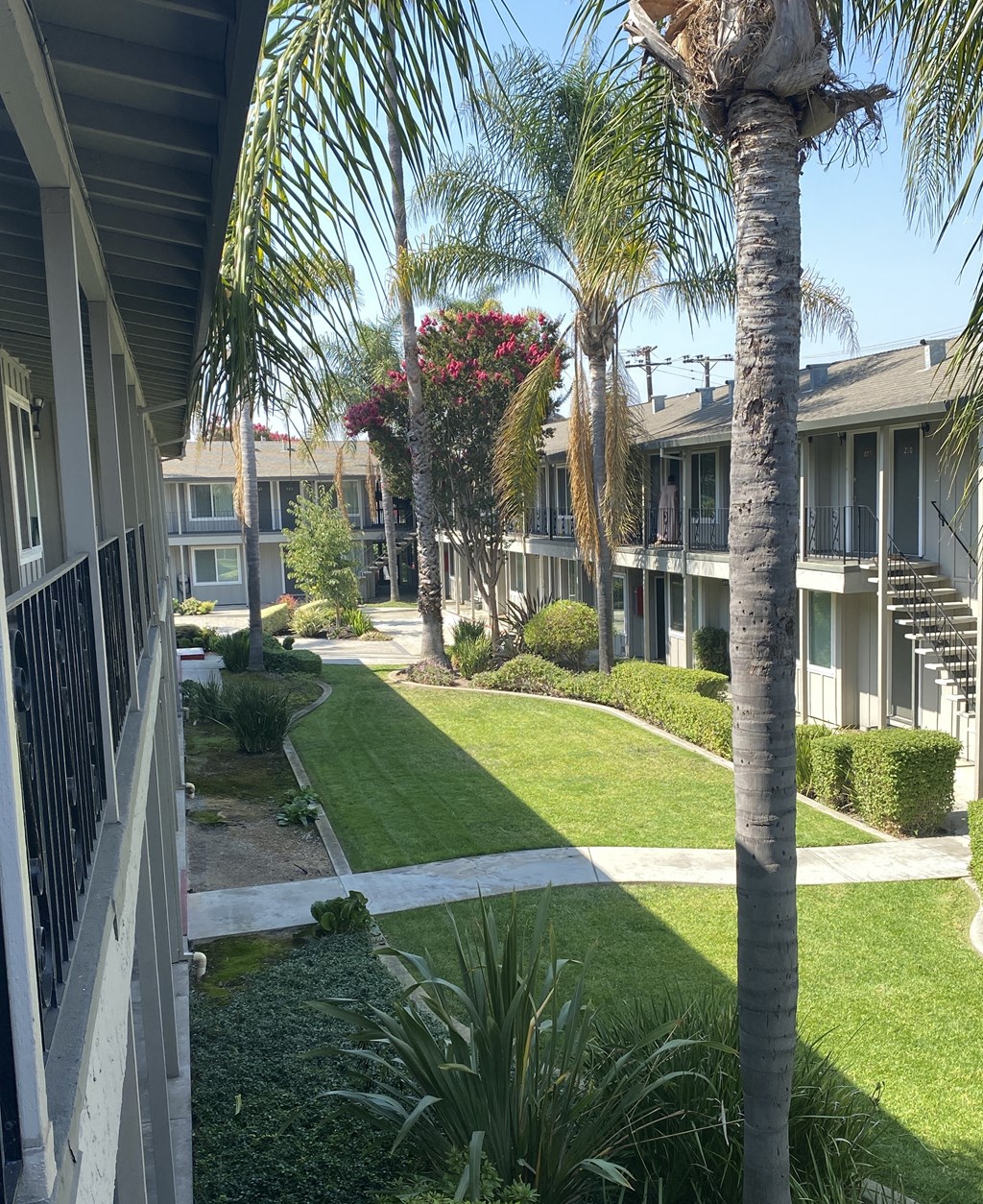 a view of a courtyard with palm trees and grass