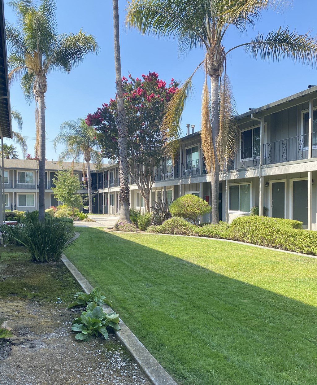 the courtyard of a condo building with a lawn and palm trees