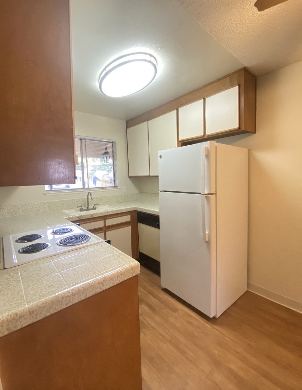 Brittany House 480 Boynton Avenue  San Jose, CA 95117 kitchen view with honey oak cabinets and a white fridge