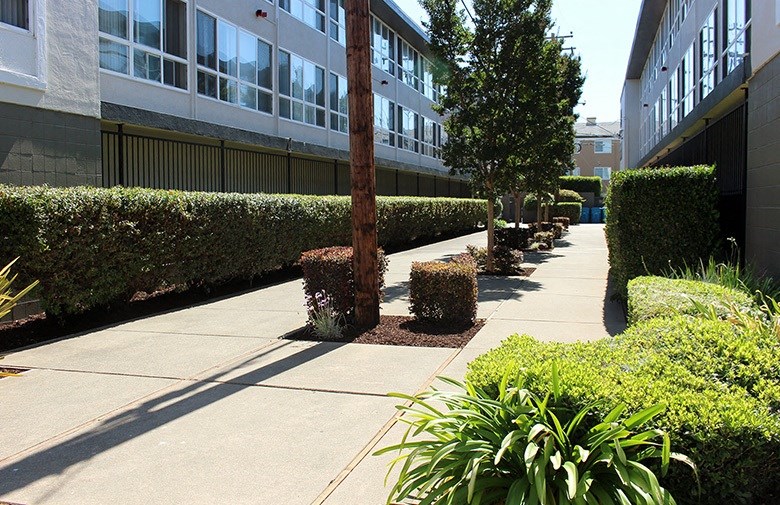 Colegrove Apartments