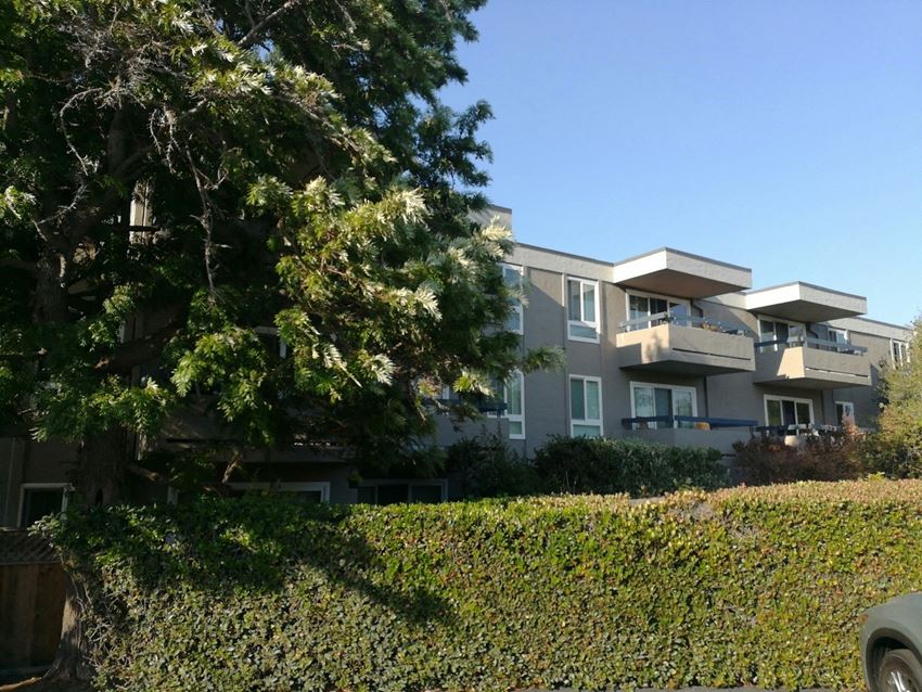 3135 Campus Drive Studio-2 Beds Apartment for Rent - Photo Gallery