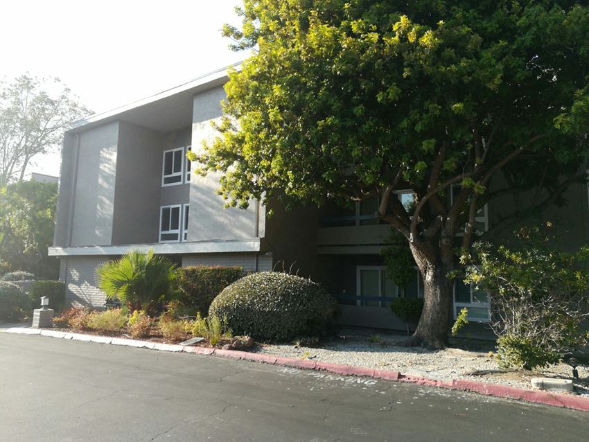 3135 Campus Drive Studio-2 Beds Apartment for Rent - Photo Gallery