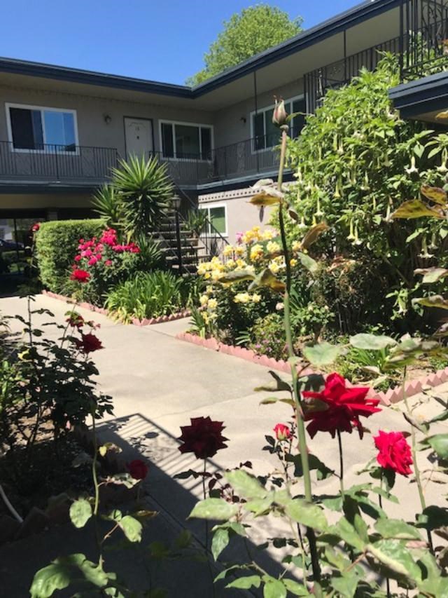Colonial House Apartments San Jose a walkway in a garden with red flowers