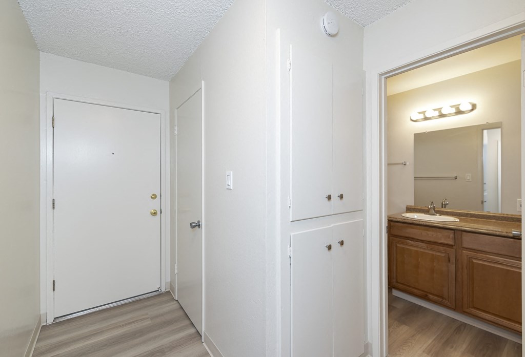 a bathroom with a sink and a mirror and a closet