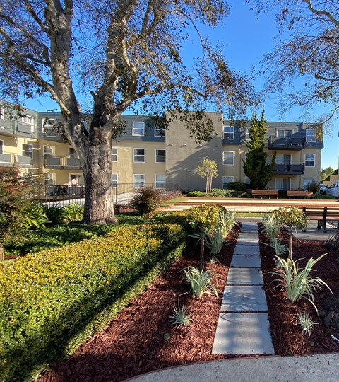 a path in a garden with a building in the background
