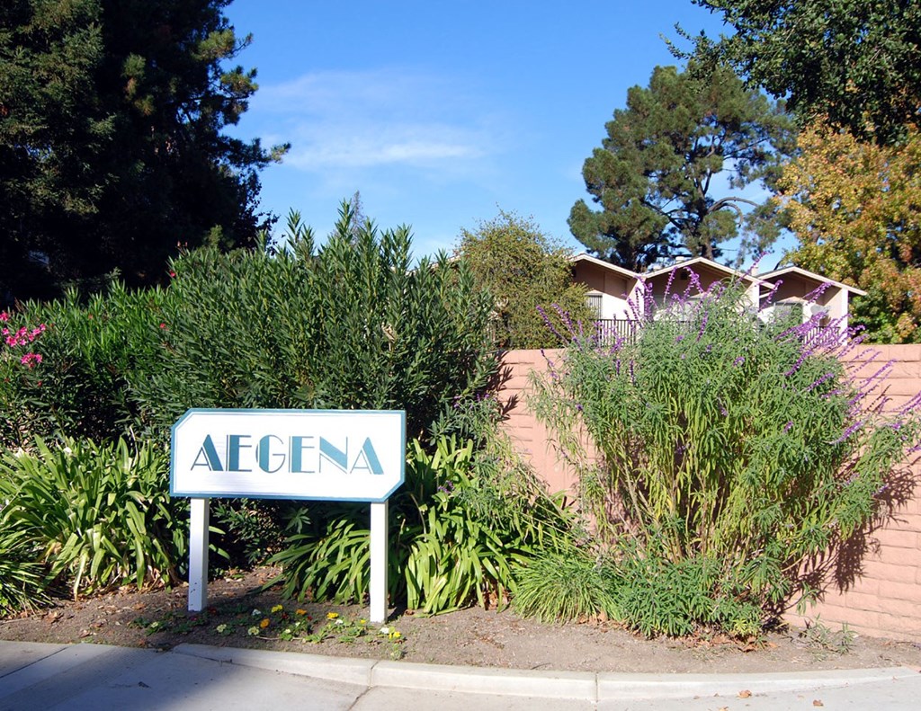 The aegena sign white sign with green letters located on the street side in front of green plant bushes and a wall Prodesse Property Group 1211 Garbo Way  San Jose, CA 95117