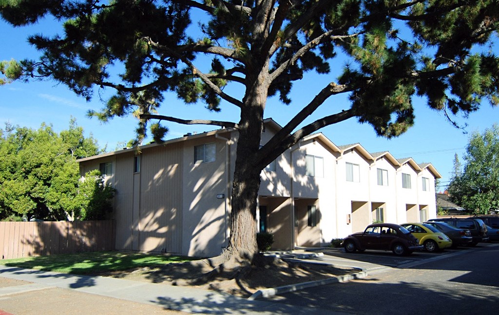 The side view of the aegena apartments a beige building with garage entrances and cars parked in a slanted direction in front of the building Prodesse Property Group 1211 Garbo Way  San Jose, CA 95117