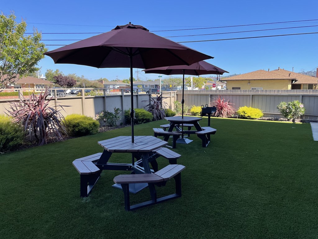 a group of picnic tables with umbrellas in a backyard