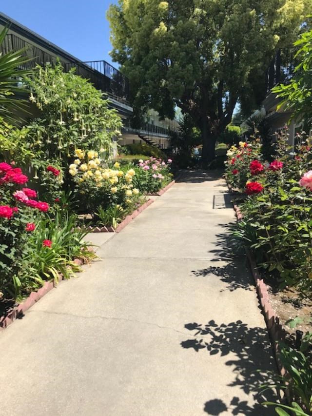 Colonial House Apartments San Jose a path through a garden with flowers on both sides of it
