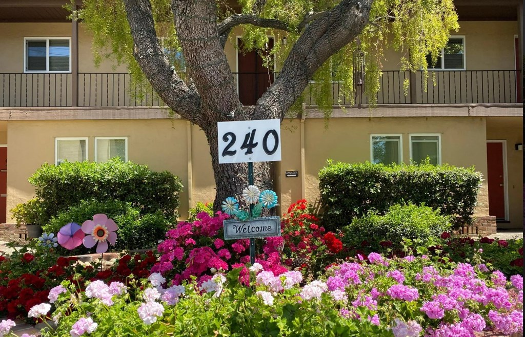 240 Di Salvo AvenueSan Jose, CA 95128