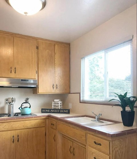 a kitchen with wooden cabinets and a sink and a window