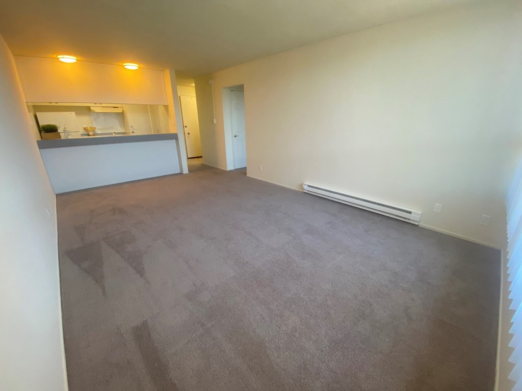 a large family room with carpet