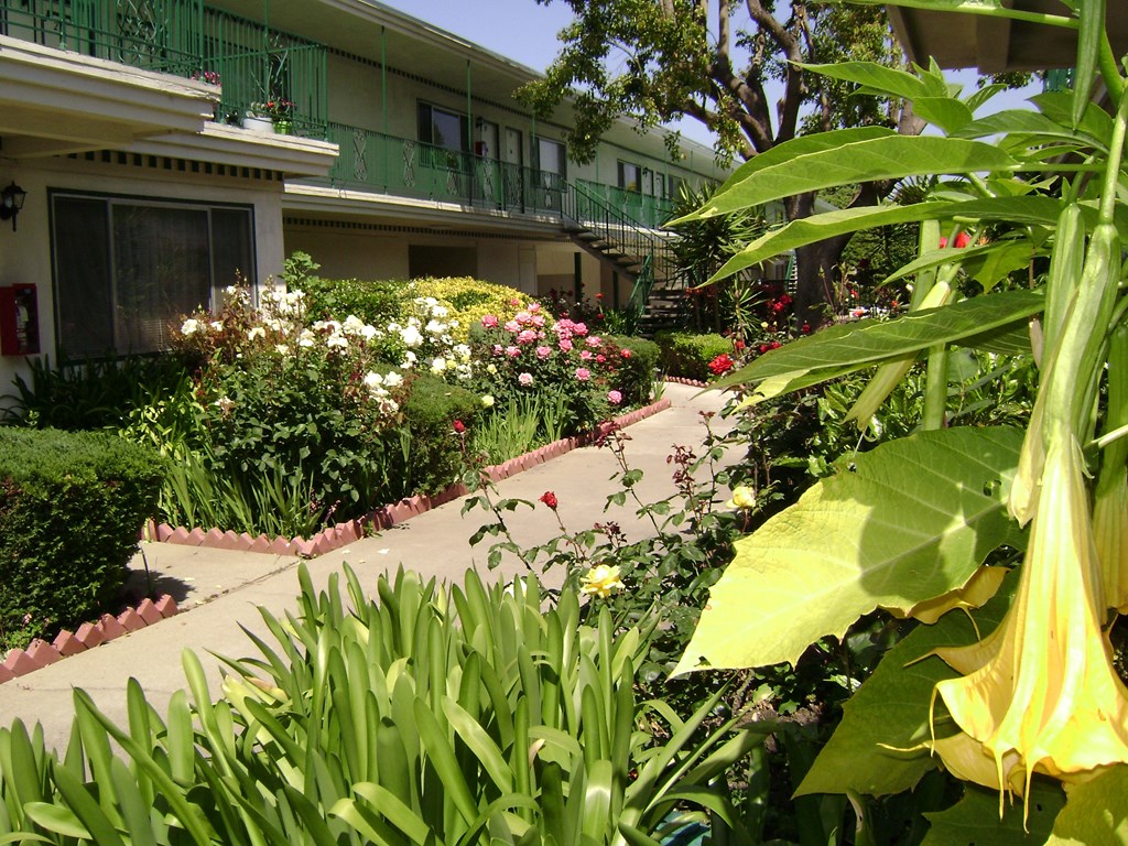 Colonial House Apartments San Jose the garden in front of our building is full of flowers and plants