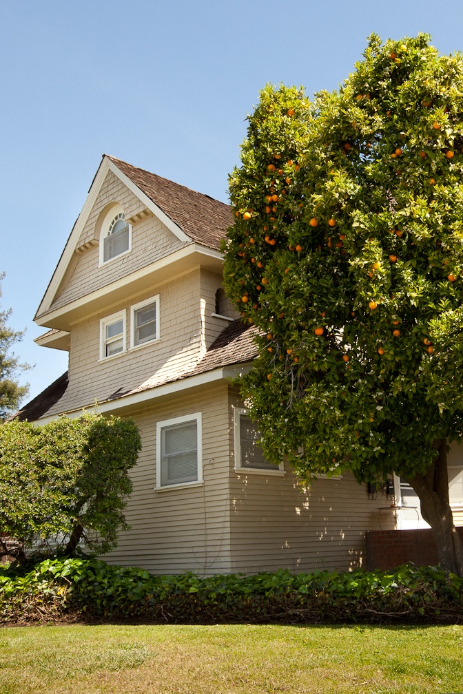 a house with an orange tree in front of it
