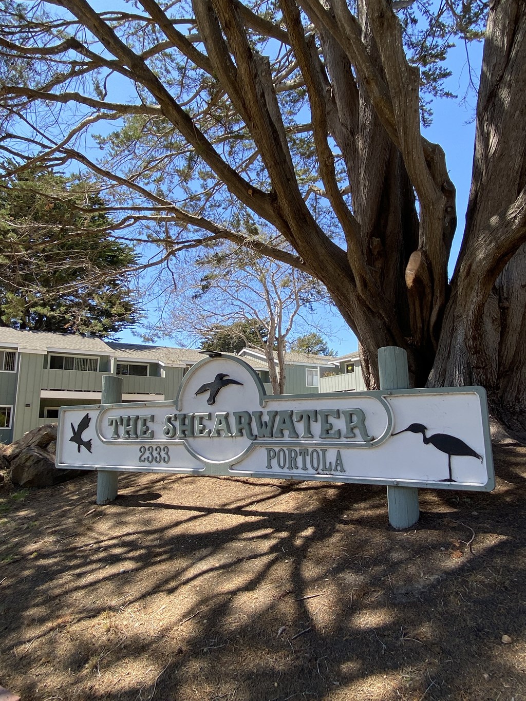 a sign in front of a tree and a building