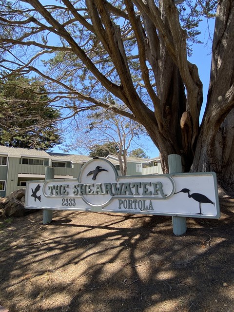 a sign in front of a tree and a building