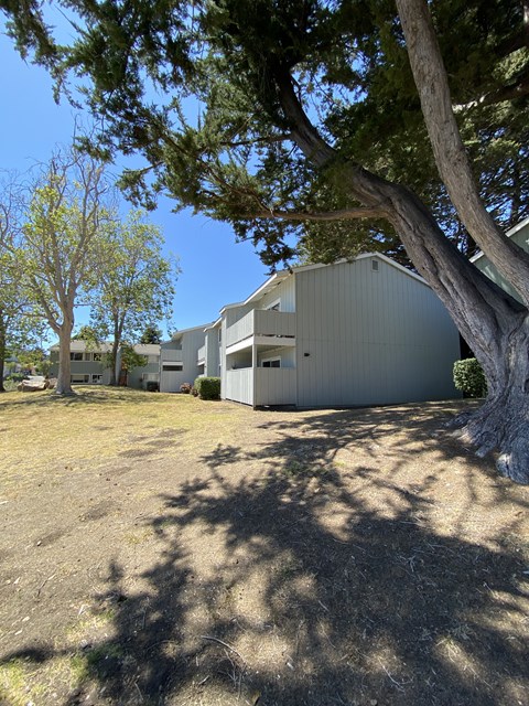 a garage with a tree in front of a house