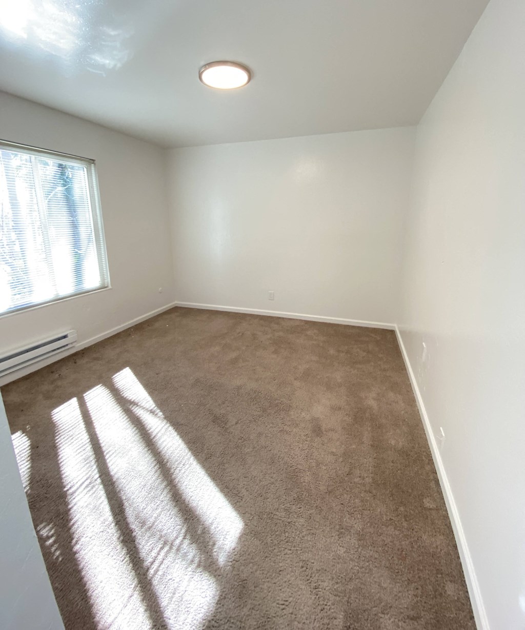 an empty room with carpet and a window
