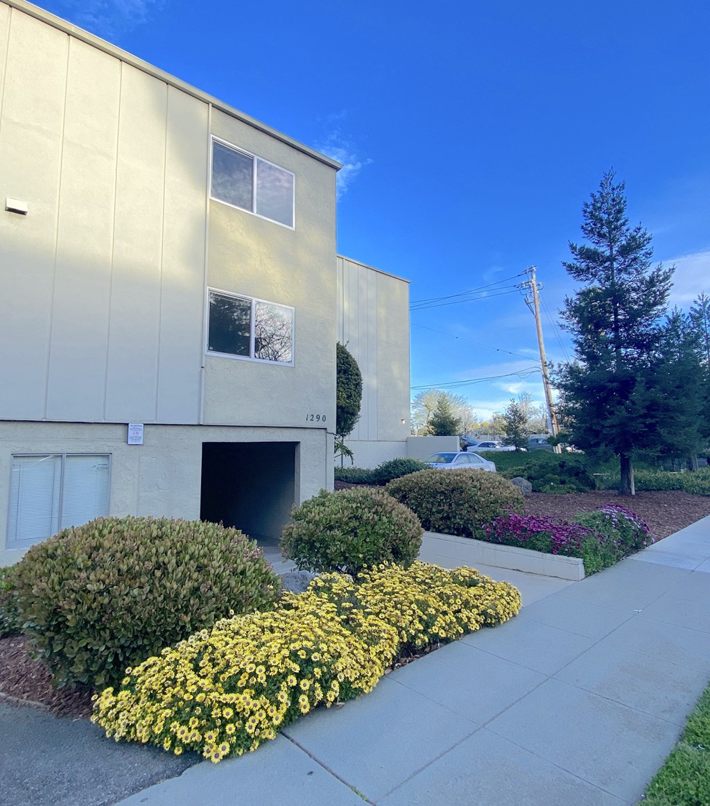 a building with a sidewalk and bushes in front of it