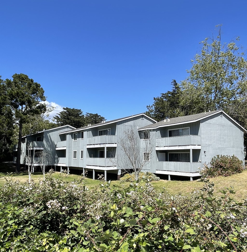 the building in which the apartment is located