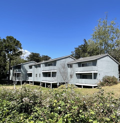 the building in which the apartment is located