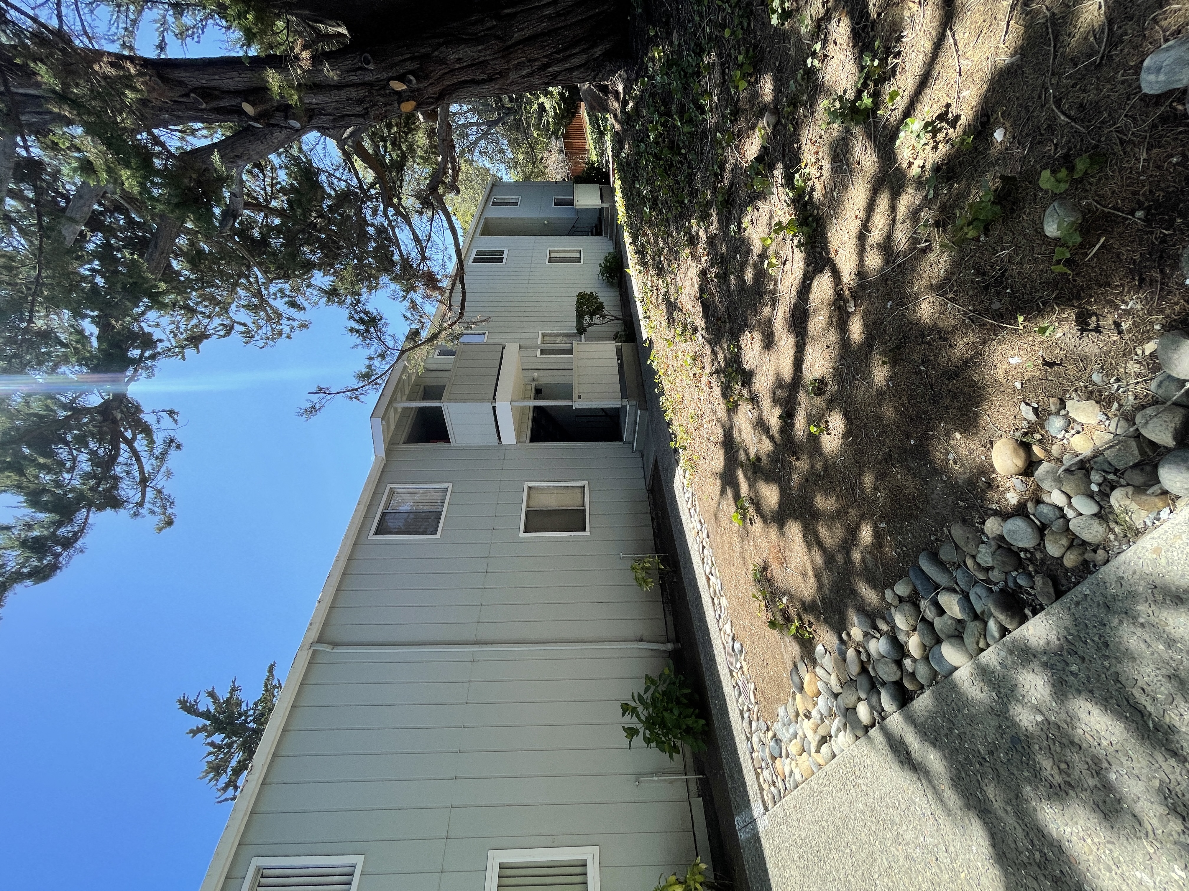a view of the side of a building from under a tree