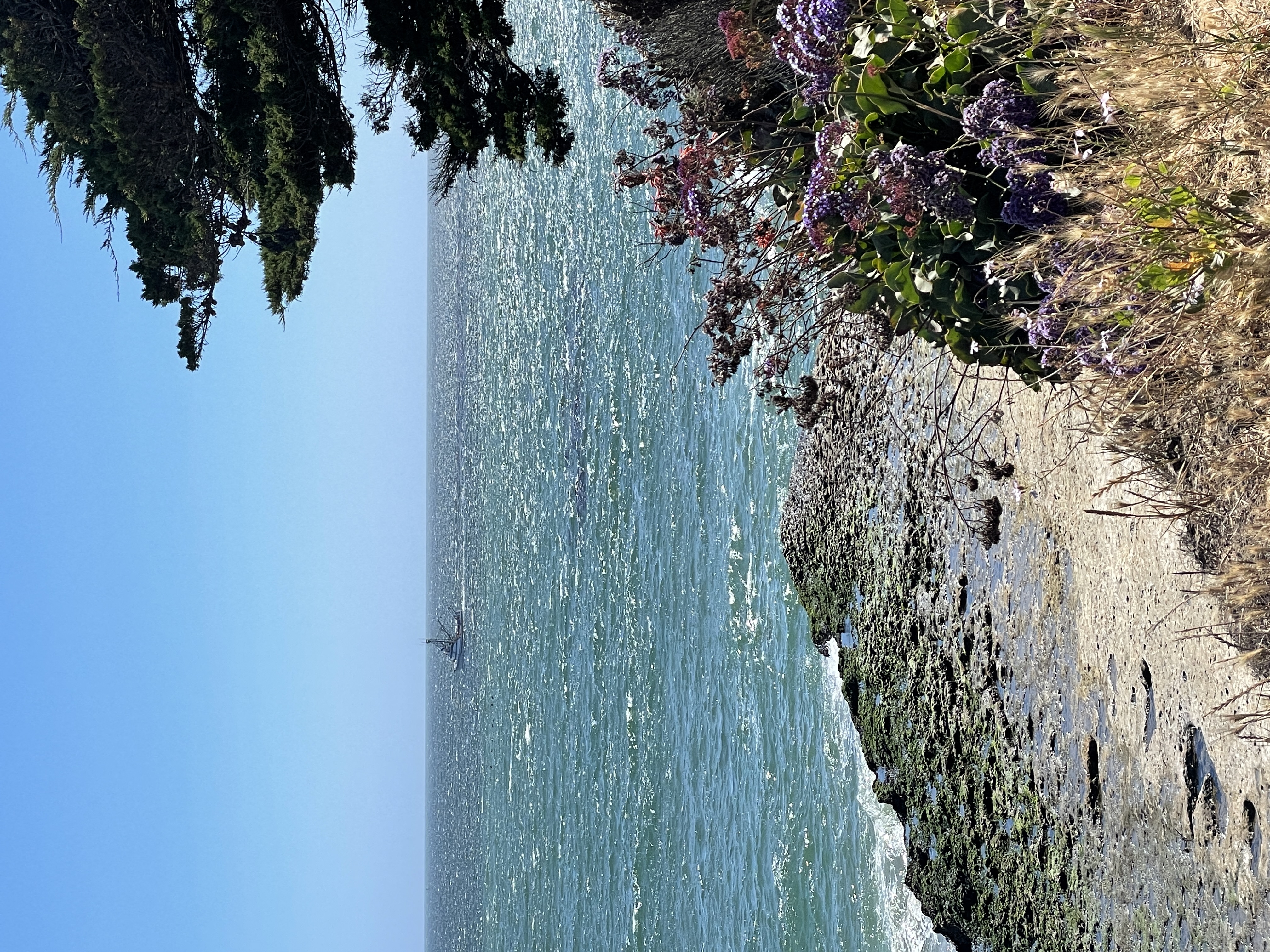 a view of the water from the shore of a beach