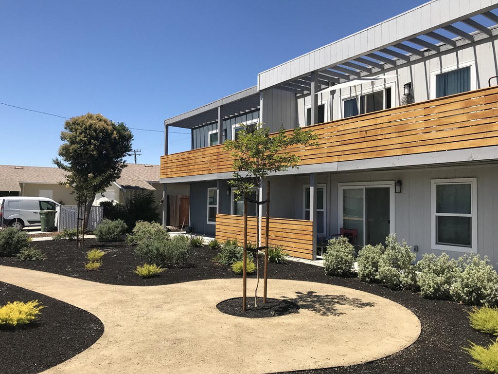 a courtyard with a tree in the middle and a gray building in the background