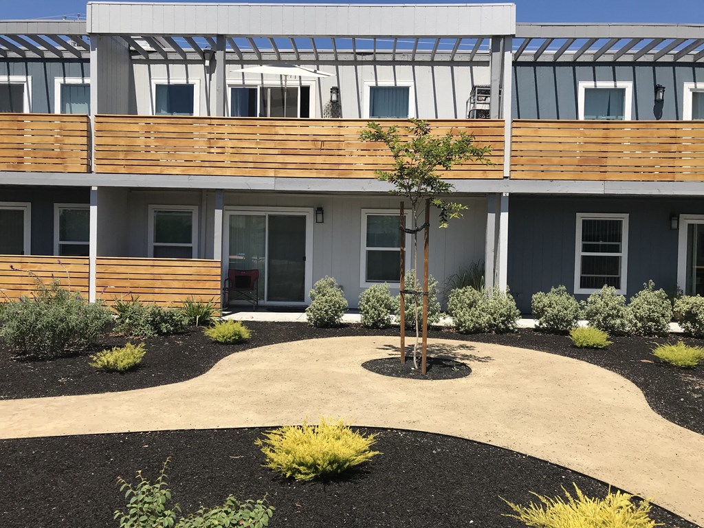 a courtyard with a tree and plants in front of a building