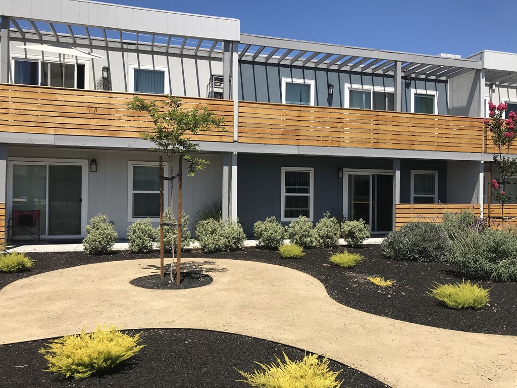 a courtyard with a tree and shrubs in front of a building