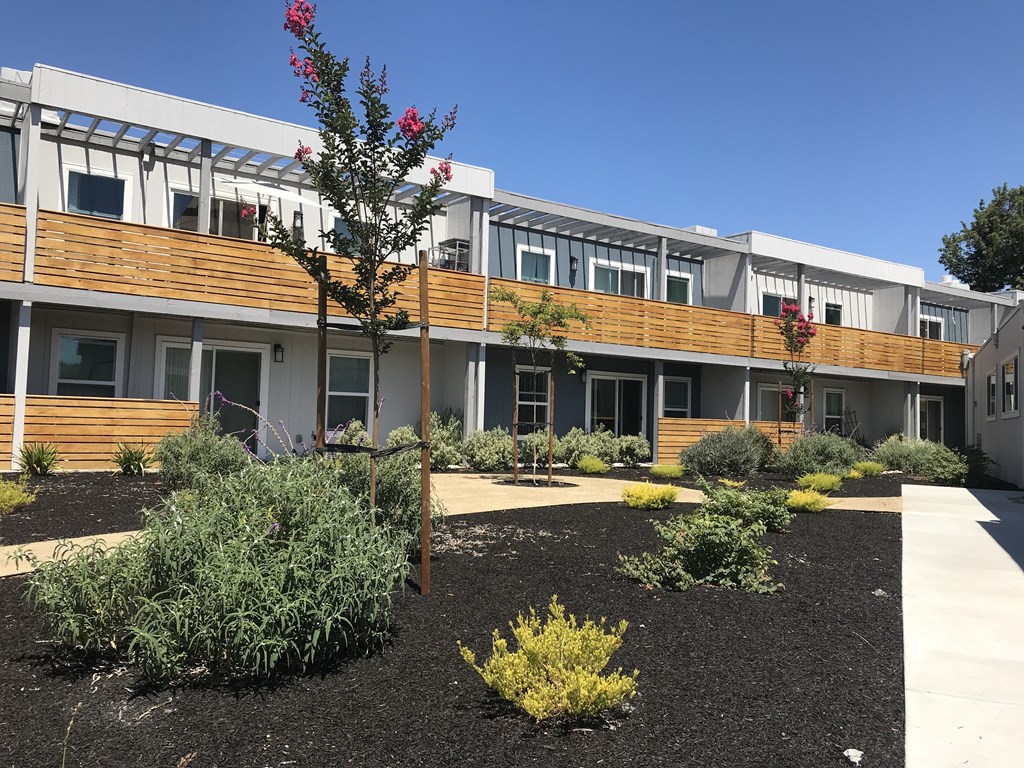 a courtyard with trees and shrubs in front of a building