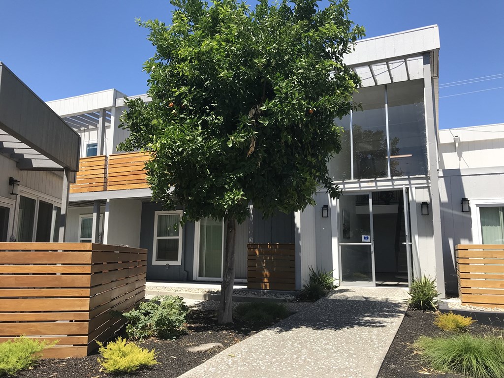 a tree in front of a building