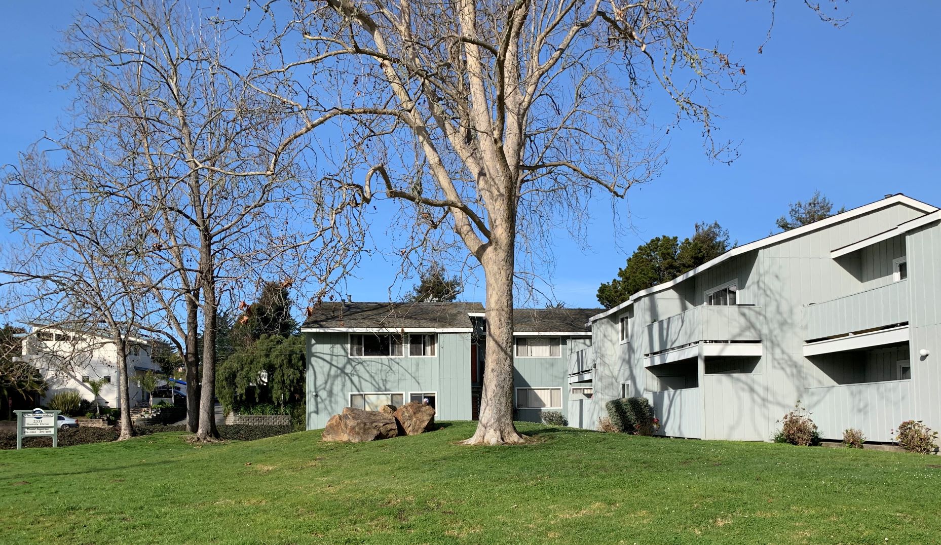 the exterior of a house with a tree in the yard