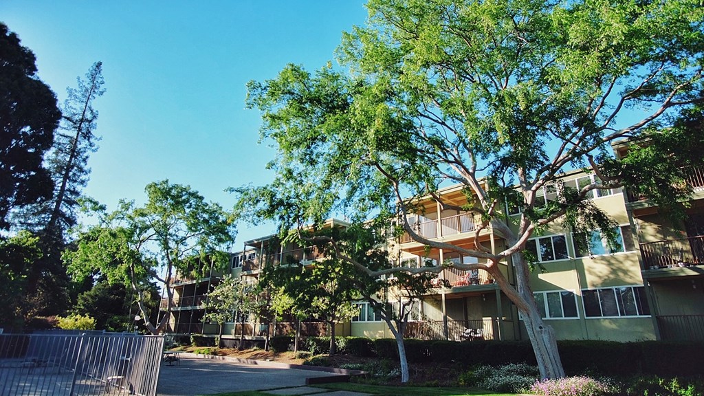 Arastradero West Apartments 724 Arastradero Road  Palo Alto, CA 94306