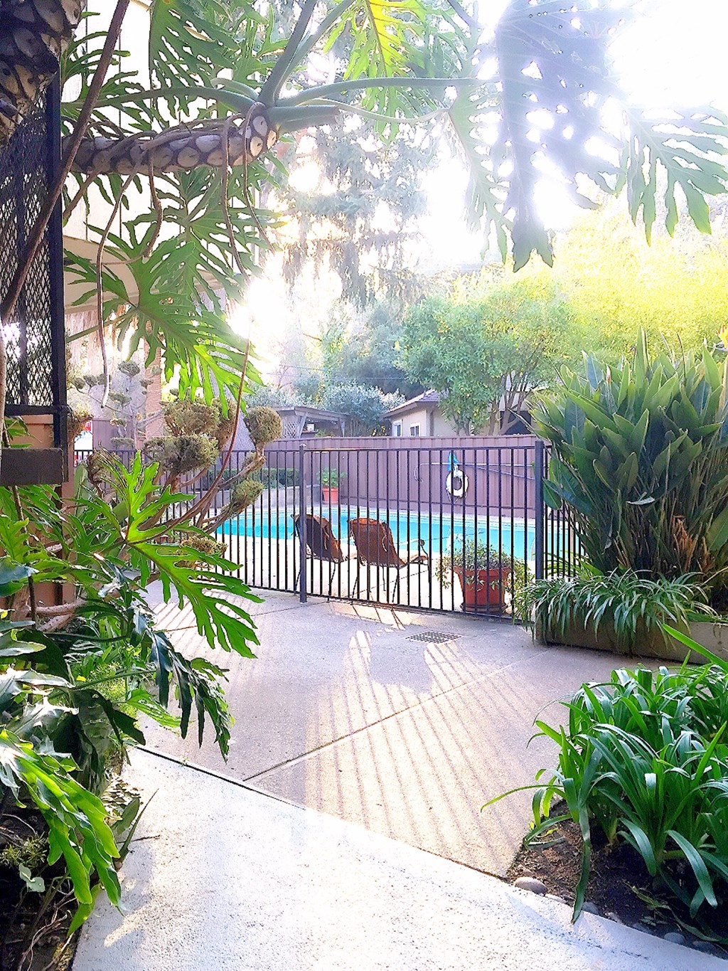 a backyard with a swimming pool and a gate