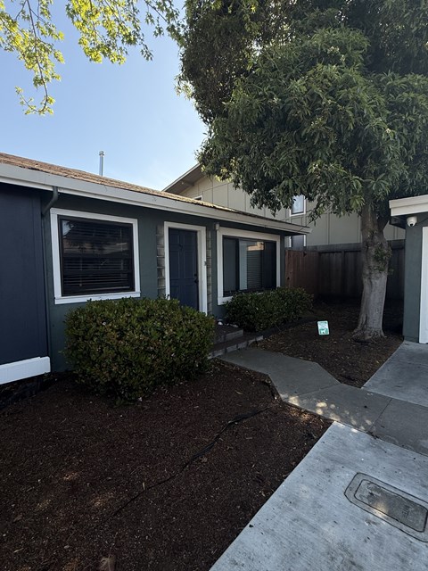 A small house with a grey roof and a white door.