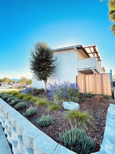 the front yard of a house with a garden and a tree