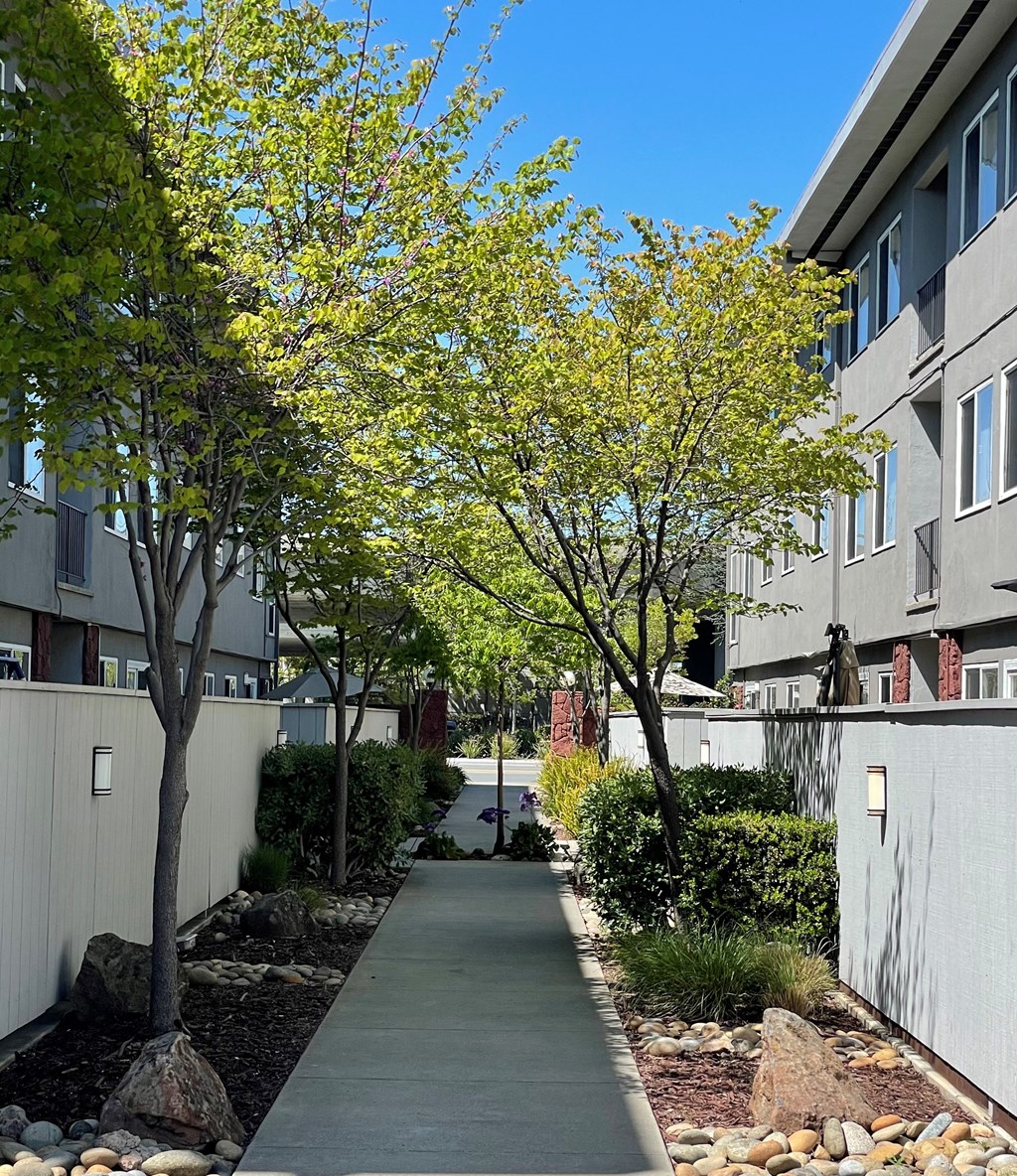 a sidewalk with trees in front of an apartment building